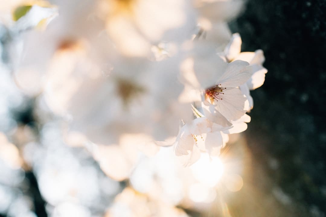 织女看了都点赞 传承非遗才是七夕的“躲藏大招”｜我的节节·七夕篇